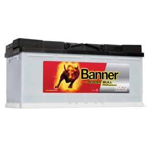 Banner Power Bull Professional P100 40, 12V 100Ah 800A (EN)