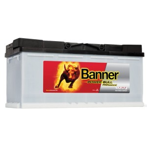Banner Power Bull Professional P110 40, 12V 110Ah 850A (EN)